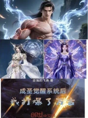 成圣觉醒系统后：我打爆了万古